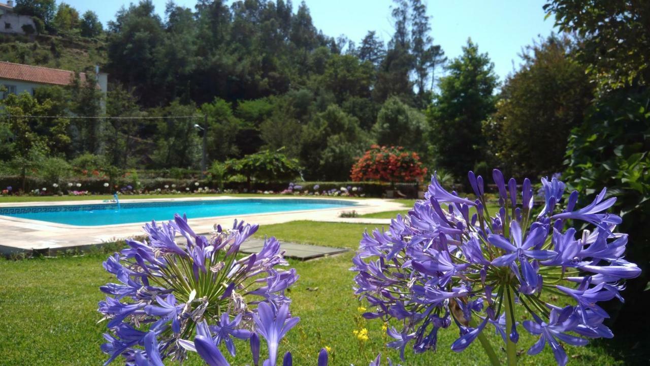The River House - Termas Guesthouse Термас-де-Сан-Педру-ду-Сул Екстер'єр фото